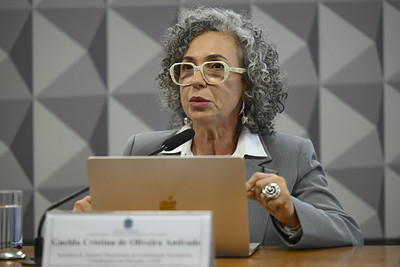 Saulo Cruz/Agência Senado